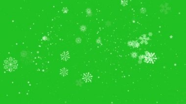 Chroma Key arka planında kar taneleri. Kar yavaşça düşüyor. Yeşil ekranda 4K canlandırması
