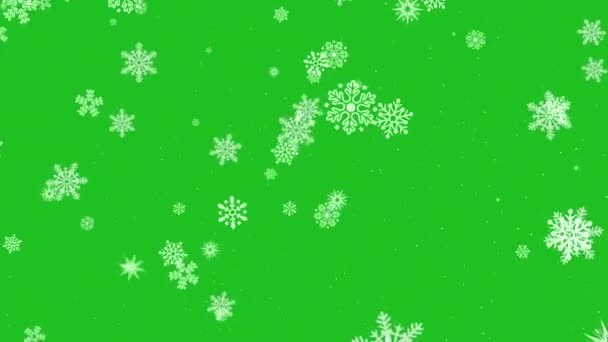 Νιφάδες Χιονιού Στο Φόντο Chroma Key Χιόνι Πέφτει Αργά Animation — Αρχείο Βίντεο