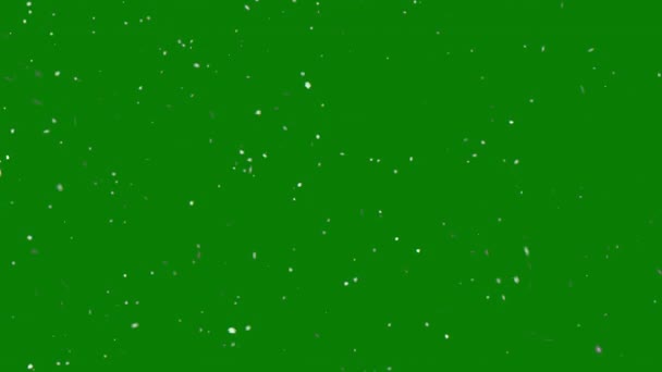 Copos Nieve Chroma Fondo Clave Nieve Cayendo Lentamente Animación Pantalla — Vídeo de stock