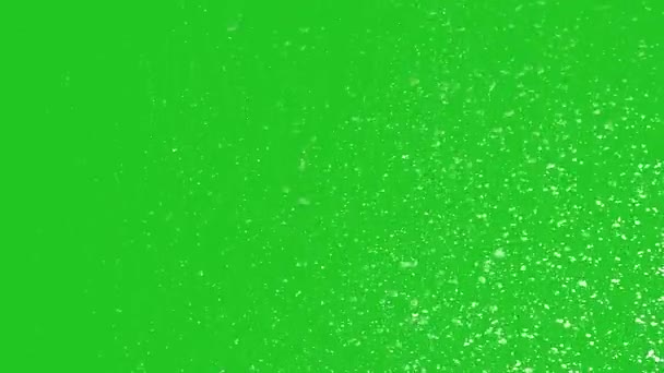 Chroma键背景上的雪花 雪下得很慢 绿色屏幕上的4K动画 — 图库视频影像