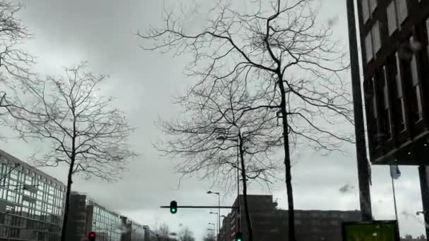 Grote Regendruppels Vallen Voorruit Van Een Voertuig Tijdens Het Rijden — Stockvideo