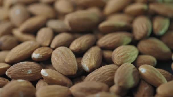 Macro Shooting Dry Almond Nuts Vegetarian Food Rich Minerals Vitamins — Stock Video