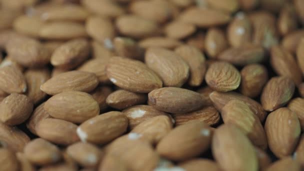 Macro Shooting Dry Almond Nuts Vegetarian Food Rich Minerals Vitamins — Stock Video