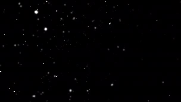 Spadające Płatki Śniegu Górna Lewa Pętla Animacji Kanałem Alfa Pokrycie — Wideo stockowe