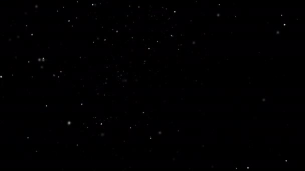 Falling Snowflakes Animation Βρόχο Κανάλι Άλφα Επικάλυψη Χιονιού — Αρχείο Βίντεο