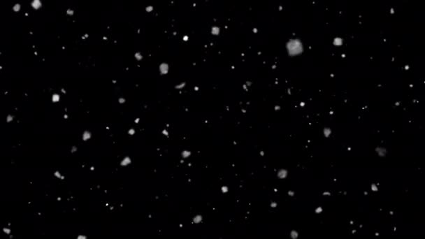Alfa Kanalı Ile Düşen Kar Taneleri Animasyon Döngüsü Kar Örtüsü — Stok video