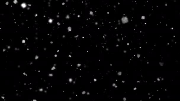 Falling Snowflakes Animasi Loop Dengan Saluran Alpha Awan Salju — Stok Video