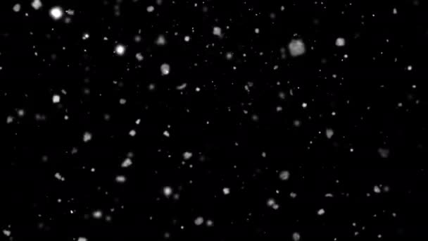 Falling Snowflakes Animation Βρόχο Κανάλι Άλφα Επικάλυψη Χιονιού — Αρχείο Βίντεο