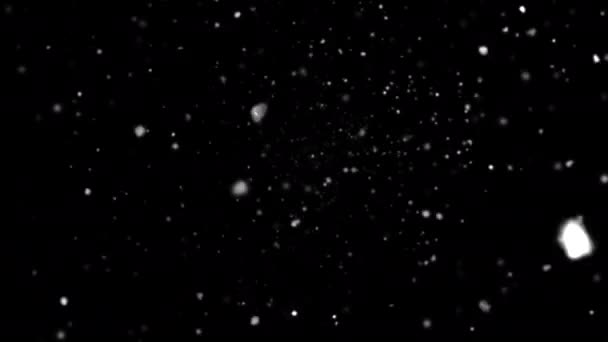 Falling Snowflakes Animační Smyčka Alfa Kanálem Birds Eye View Ideální — Stock video