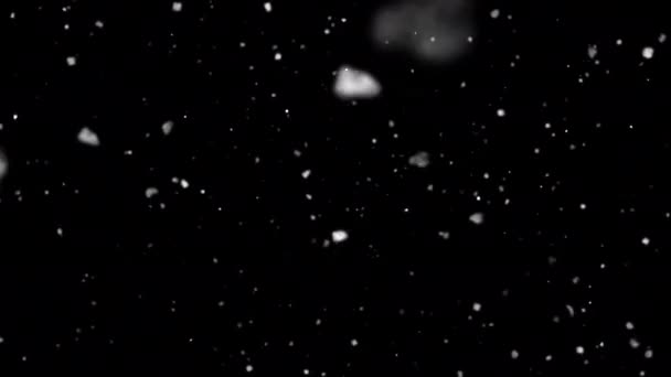 アルファチャンネル付きの大小の雪片アニメーションループ 雪片がカメラに向かって移動します 雪のオーバーレイ — ストック動画