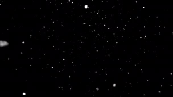 アルファチャンネル付きの大小の雪片アニメーションループ 雪片がカメラに向かって移動します 雪のオーバーレイ — ストック動画