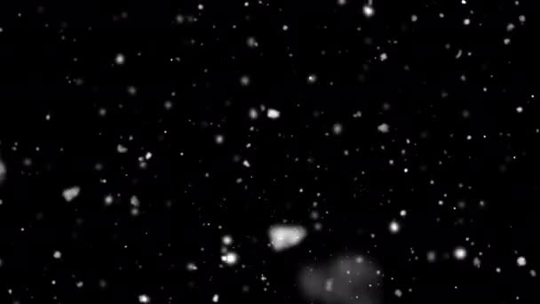 Снежинки Хаотично Движутся Камере Альфа — стоковое видео