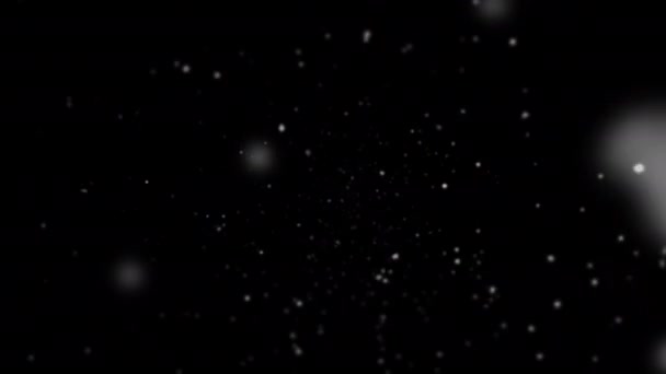 Birds Eye View Falling Snow Animation Loop Black Background — Stok Video