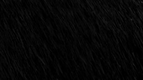 Spadające Krople Deszczu Czarnym Tle Płynna Animacja Pętli Kanałem Alfa — Wideo stockowe