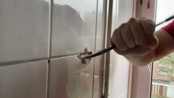 Reparatie Keramische Tegels Demonteren Met Een Beitel Een Hamer — Stockvideo