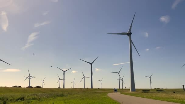 Turbinas Eólicas Que Geram Energia Renovável Limpa Conceito Energia Verde — Vídeo de Stock