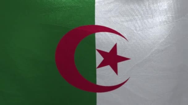 National Flag Algeria Animation — Stockvideo