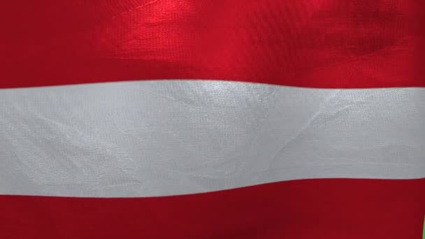 National Flag Austria Animation — Stock video