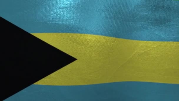 National Flag Bahamas Animation — 图库视频影像