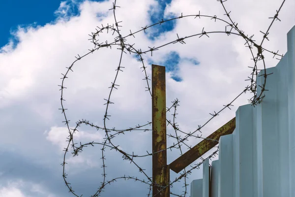 Selective Focus Barbed Wire Fence Fence Barbed Wire Blue Sky —  Fotos de Stock