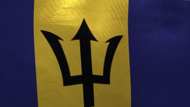 National Flag Barbados Animation — Wideo stockowe