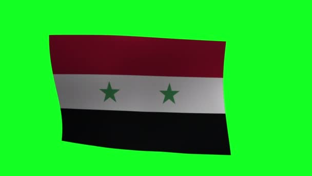 Waving Flag Syria Green Screen Animation — Stock videók