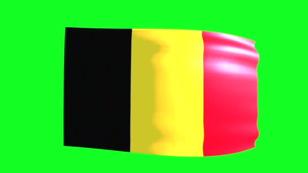 Waving Flag Belgium Green Screen Animation — Video