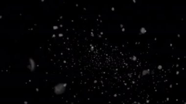 Falling snow animation. Winter Snow