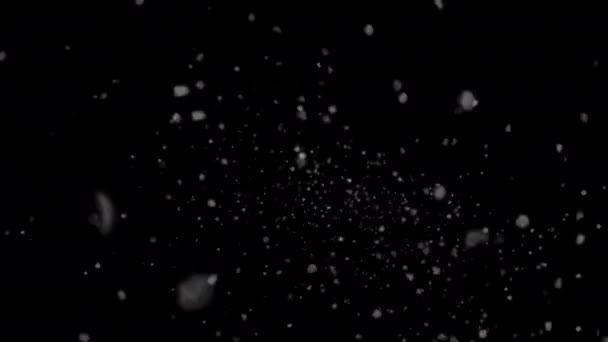 Falling Snow Animation Winter Snow — Vídeos de Stock