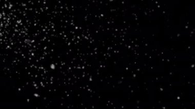 Falling snow animation. Winter Snow