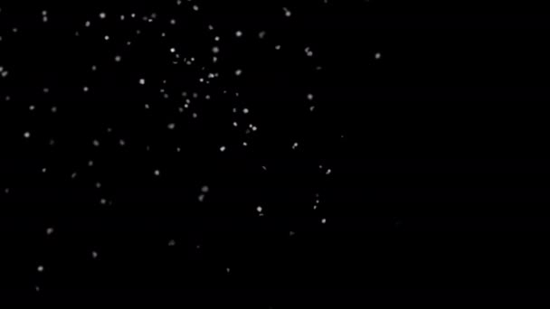 Falling Snow Animation Winter Snow — Vídeo de Stock