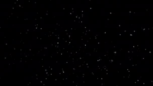 Πτώση Κίνησης Χιονιού Χειμερινό Χιόνι — Αρχείο Βίντεο
