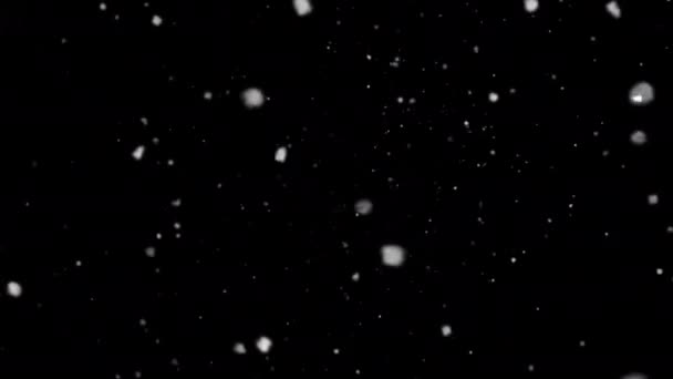 High Quality Motion Animation Representing Snow Snowing Footage Alpha Channel — Vídeo de Stock