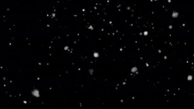 Falling snow animation with Alpha Channel. Christmas Snow 