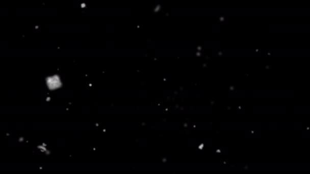 High Quality Motion Animation Representing Snow Snowing Footage Alpha Channel — Vídeo de Stock