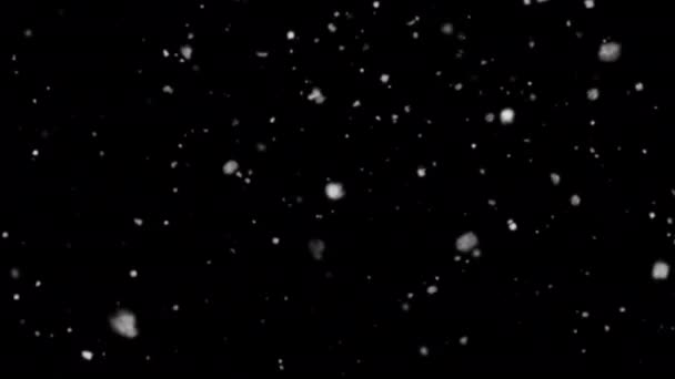 Falling Snow Animation Alpha Channel Christmas Snow — Video