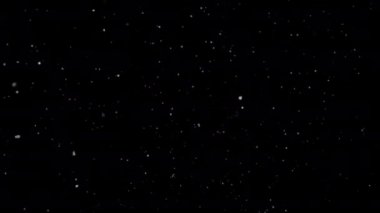 Falling snow animation with Alpha Channel. Christmas Snow