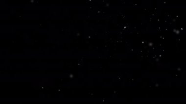 Animation of slowly falling snow. Falling snowflakes. Alpha channe