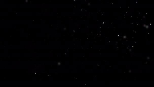 Animation Slowly Falling Snow Falling Snowflakes Alpha Channe — Vídeo de Stock