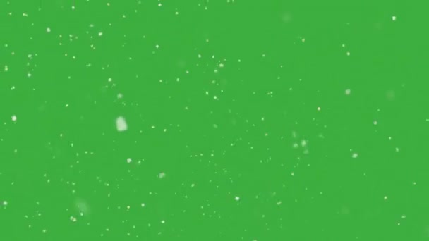 Una Ventisca Navideña Copos Nieve Giran Viento Pantalla Verde — Vídeo de stock