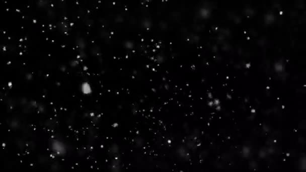 Una Ventisca Navideña Los Copos Nieve Arremolinan Viento — Vídeos de Stock