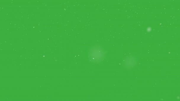 Julsnöstorm Snöflingor Virvlar Vinden Grön Skärm — Stockvideo