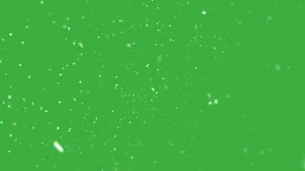 Uma Nevasca Natal Flocos Neve Giram Vento Tela Verde — Vídeo de Stock