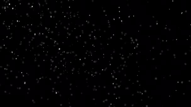 Uma Nevasca Natal Flocos Neve Giram Vento Esquerda Para Direita — Vídeo de Stock