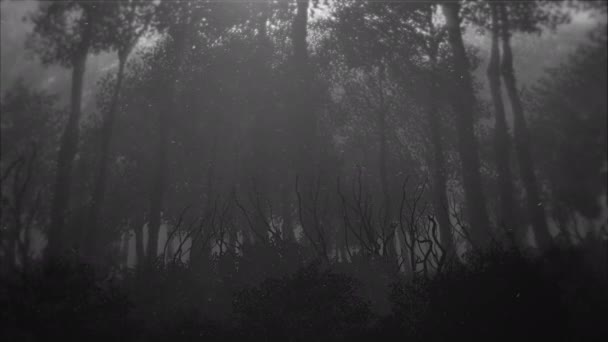 ハロウィンモチーフアニメーションの背景 霧のかかった古い暗い森のシルエットのパノラマ — ストック動画