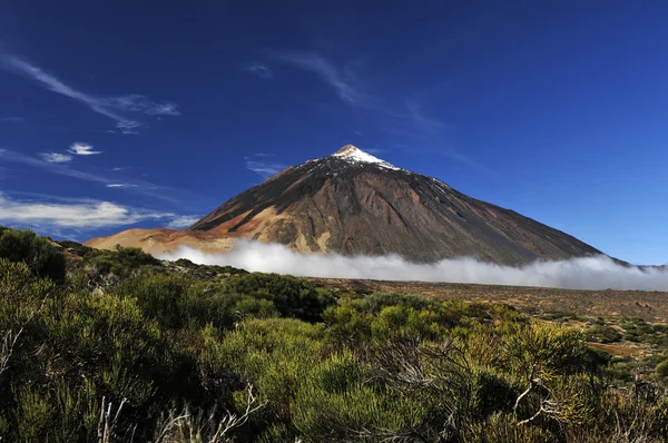 Teide volcano from far — Stock Photo, Image