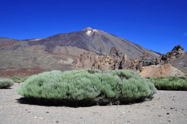 Teide 3718 m. in Tenerife, Canary Is. — Stock Photo, Image