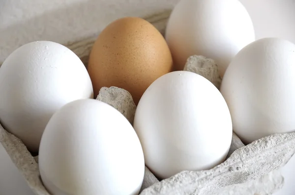 Ovos brancos e castanhos — Fotografia de Stock