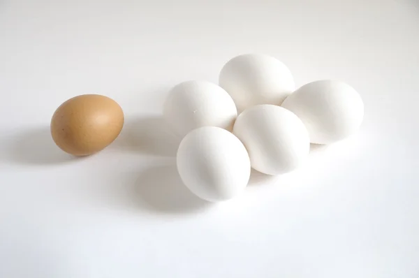 Ouă albe și maro — Fotografie, imagine de stoc