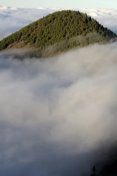 Krajobraz lawy, park narodowy teide. Teneryfa — Zdjęcie stockowe